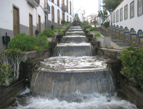 2º TRAINING FIRGAS XXVII EDICIÓN  PARRA NEGRA CANARIAS O.L.C.