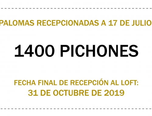 MÁS DE 1400 PALOMAS PARA EL CHALLENGE