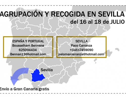 AGRUPACIÓN Y RECOGIDA DE PALOMAS DE ESPAÑA Y PORTUGAL PARA EL CHALLENGE EN SEVILLA, DEL 16 AL 18 JULIO