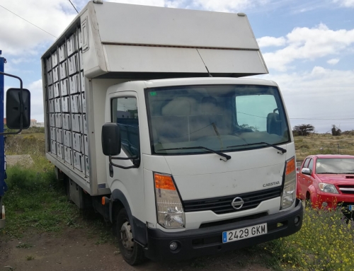 NEW CAMION WITH ALL COMFORTS FOR THE STAYS IN MARRUECOS