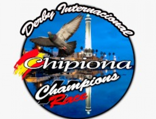 PARRA NEGRA CANARIAS O.L.C. TOP-10   SALINETAS 2º