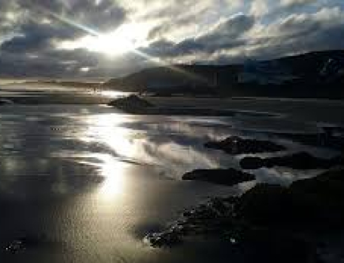 3º TRAINING SAN ANDRÉS  XXVII EDICIÓN  PARRA NEGRA CANARIAS O.L.C.