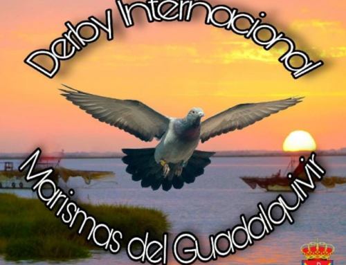 DERBY INTERNACIONAL MARISMAS DEL GUADALQUIVIR  –  XXV ANIVERSARIO PARRA NEGRA CANARIAS O.L.C.
