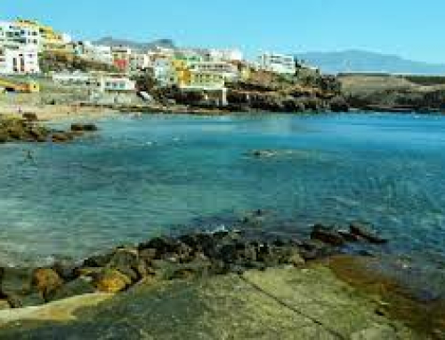 5º TRAINING SARDINA   XXVII EDICIÓN  PARRA NEGRA CANARIAS O.L.C.