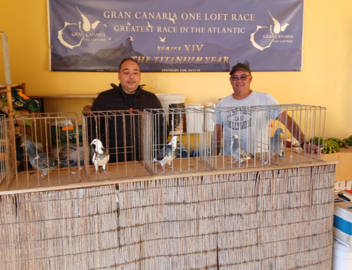 JOSÉ QUINTANA    XXVII EDICIÓN  PARRA NEGRA CANARIAS O.L.C.