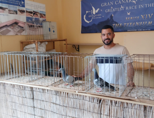 MONTAÑEZ J.J.    XXVII EDICIÓN  PARRA NEGRA CANARIAS O.L.C.