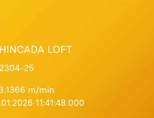 TOP 25 3º TRAINING SAN ANDRÉS  XXVII EDICIÓN  PARRA NEGRA CANARIAS O.L.C.