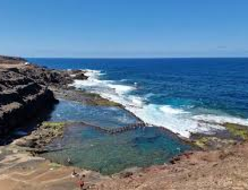4º TRAINING ROQUE PRIETO  XXVII EDICIÓN  PARRA NEGRA CANARIAS O.L.C.