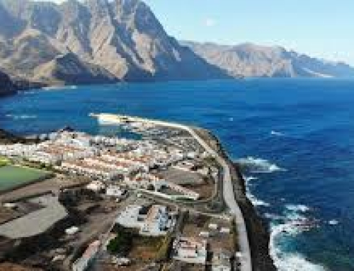 6º TRAINING AGAETE   XXVII EDICIÓN  PARRA NEGRA CANARIAS O.L.C.