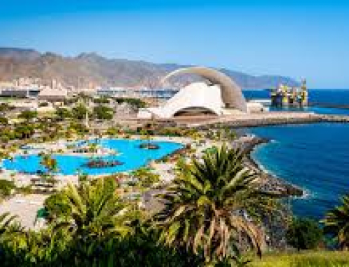 I HOTSPOT TENERIFE   XXVII EDICIÓN  PARRA NEGRA CANARIAS O.L.C.