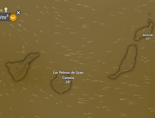 SUSPENDIDA LA FINAL POR CALIMA 18.04 26  XXVII EDICIÓN  PARRA NEGRA CANARIAS O.L.C.